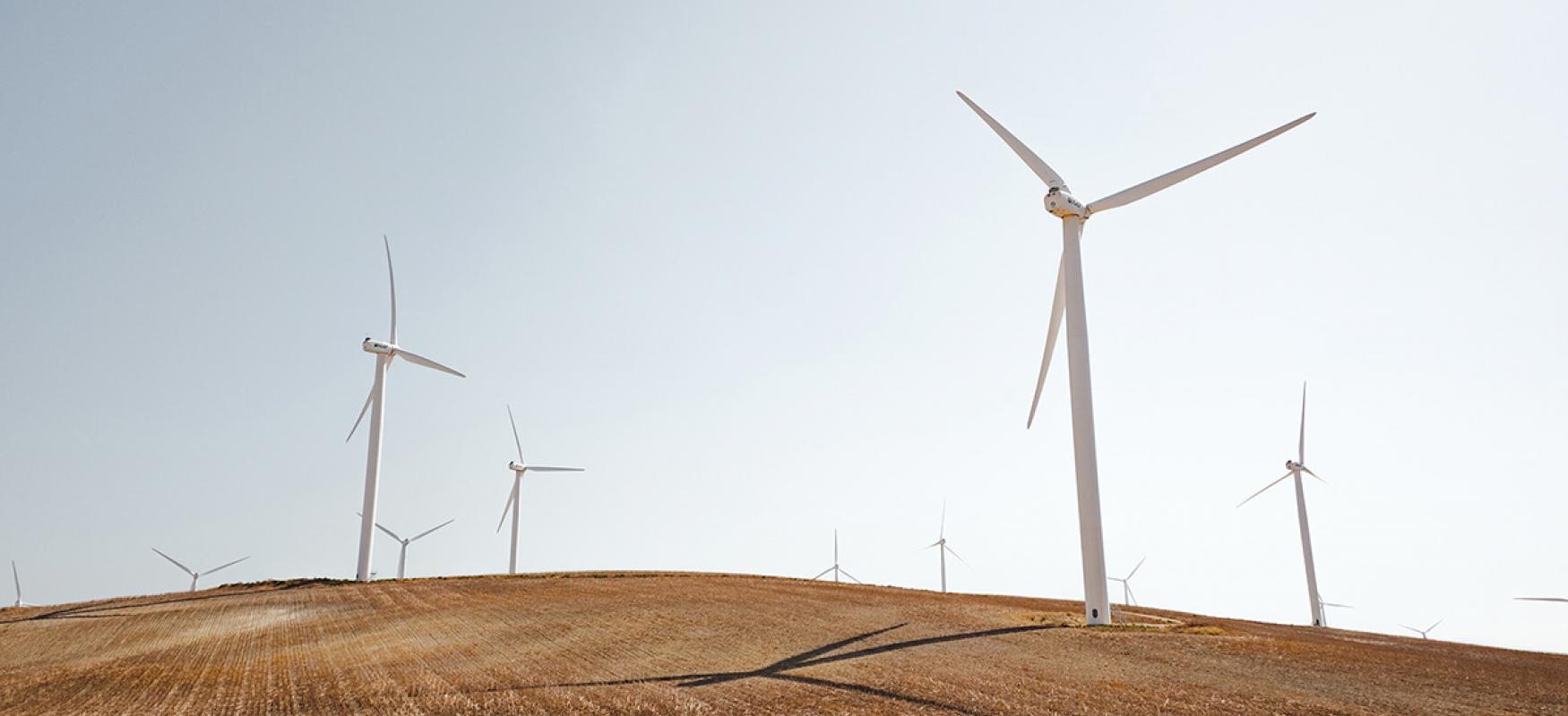 Windmills in a field.