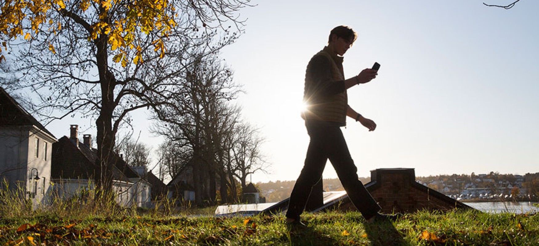 Man walking in the grass in an urban setting, looking at his phone.