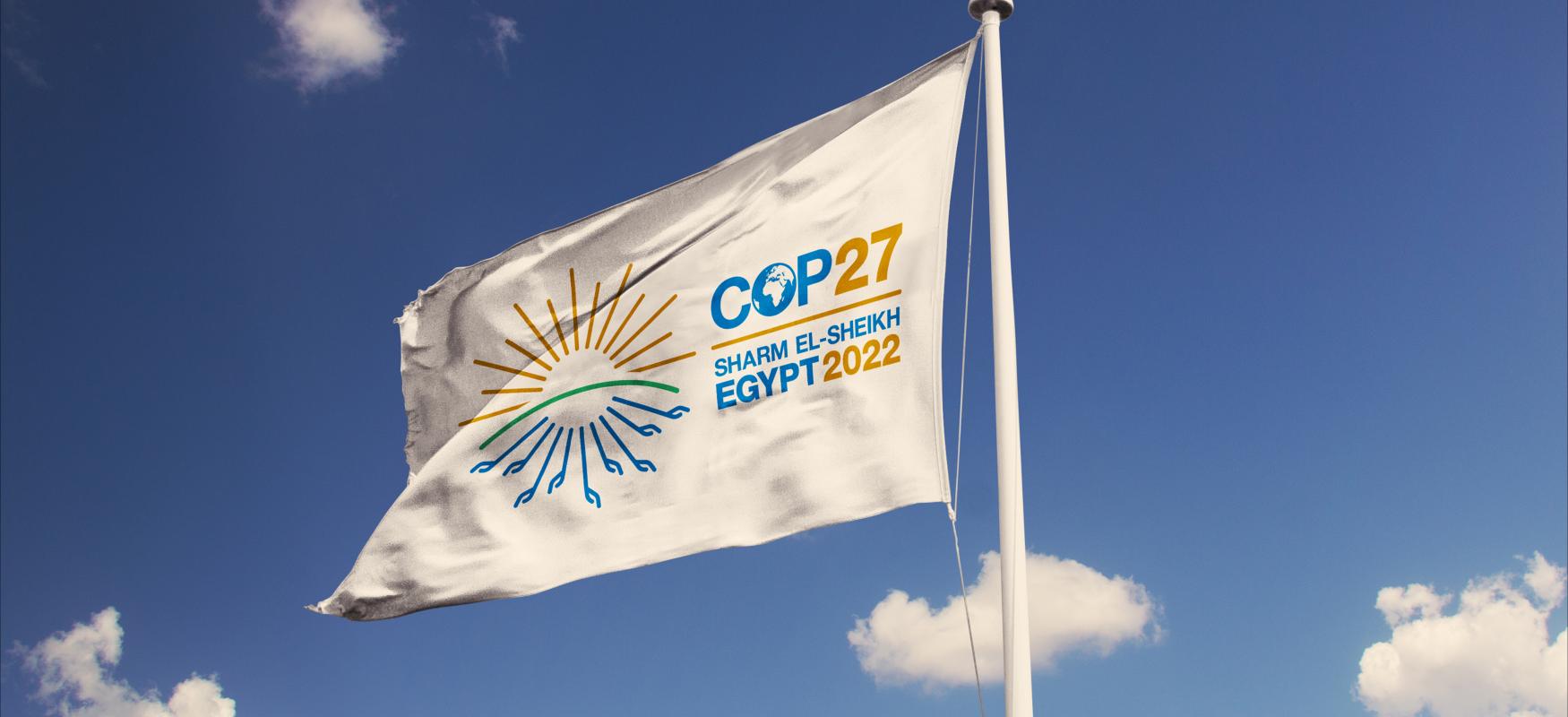 Flag med logo fra COP27