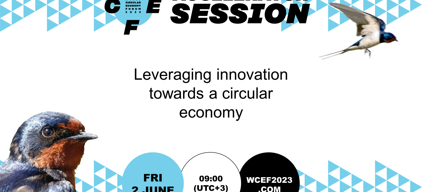 Accelerator session: Leveraging innovation towards a circular economy