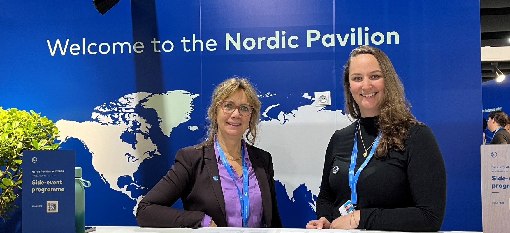COP 29
