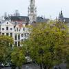 Brussels rooftops with the top of the  trees from the town square