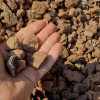 Hand holding gravel and stones